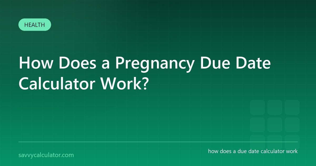 How Does a Pregnancy Due Date Calculator Work?